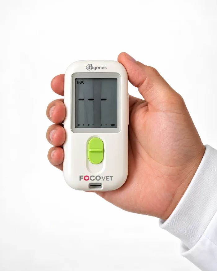 FocoEasy Vet2